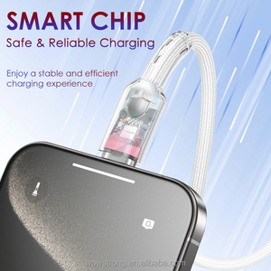 2025最新设计PD 27W C至C 60w彩色高品质3A编织usb-c快速充电线手机流行礼品