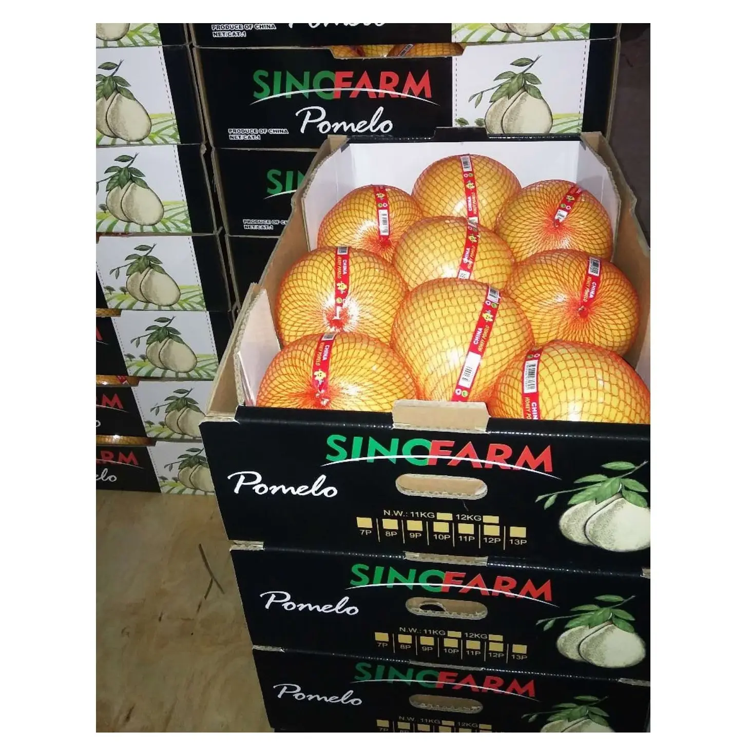 Fresh Honey Pomelo 2022 new crop supply with high quality Chinese white pomelo and red pomelo fruit grapefruit from Pinghe