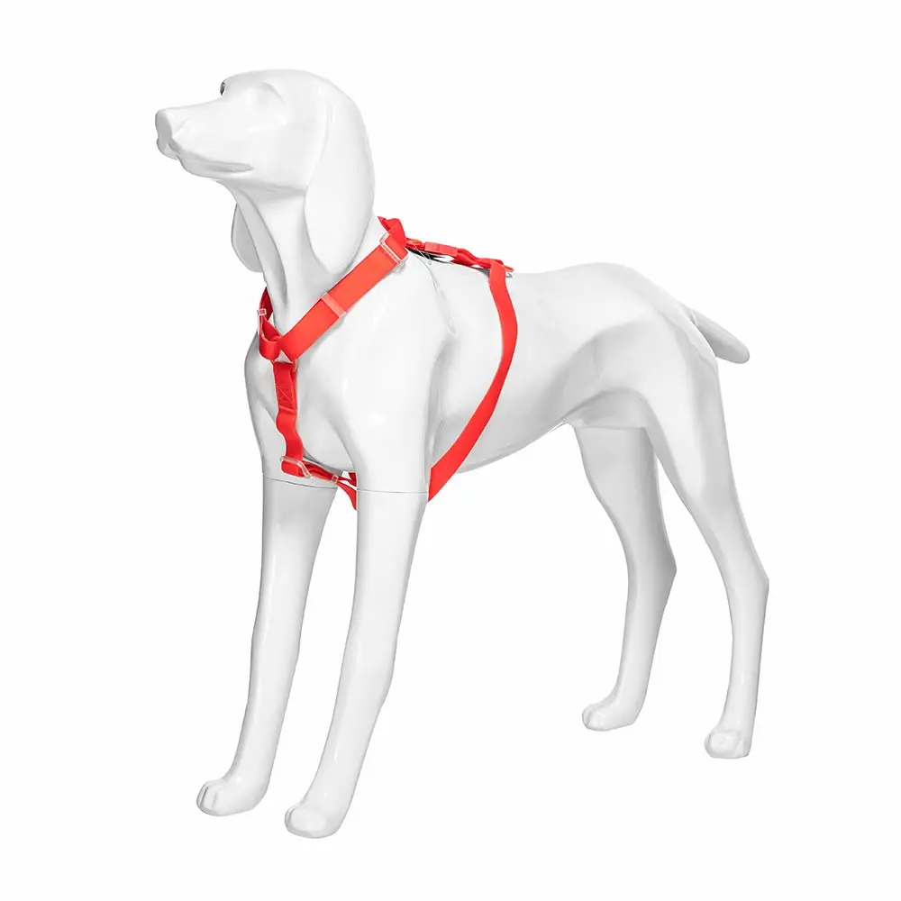 Con Chó mô hình lớn đạo cụ vật nuôi quần áo mô hình hiển thị nguồn cung cấp nhựa hiển thị trang trí con chó vật liệu an toàn