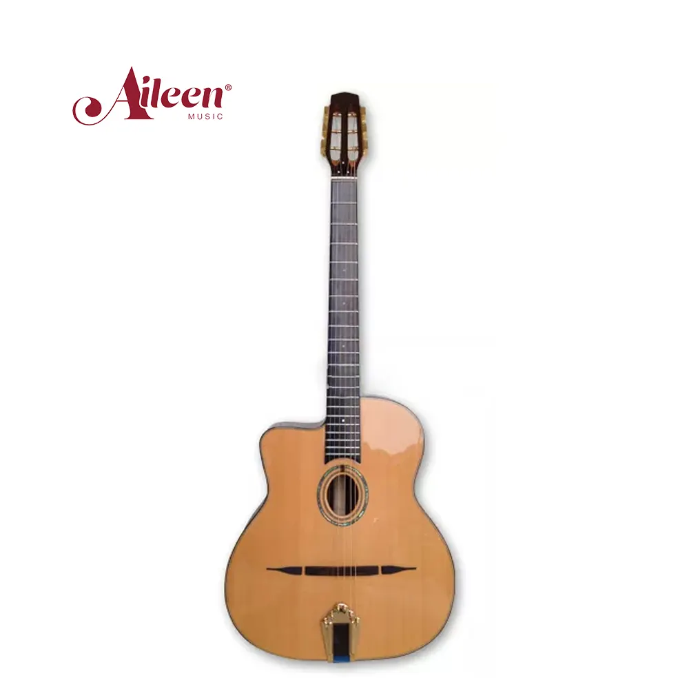 Guitarra de Jazz Gypsy (AGJ160), Agujero D o agujero ovalado, palisandro sólido