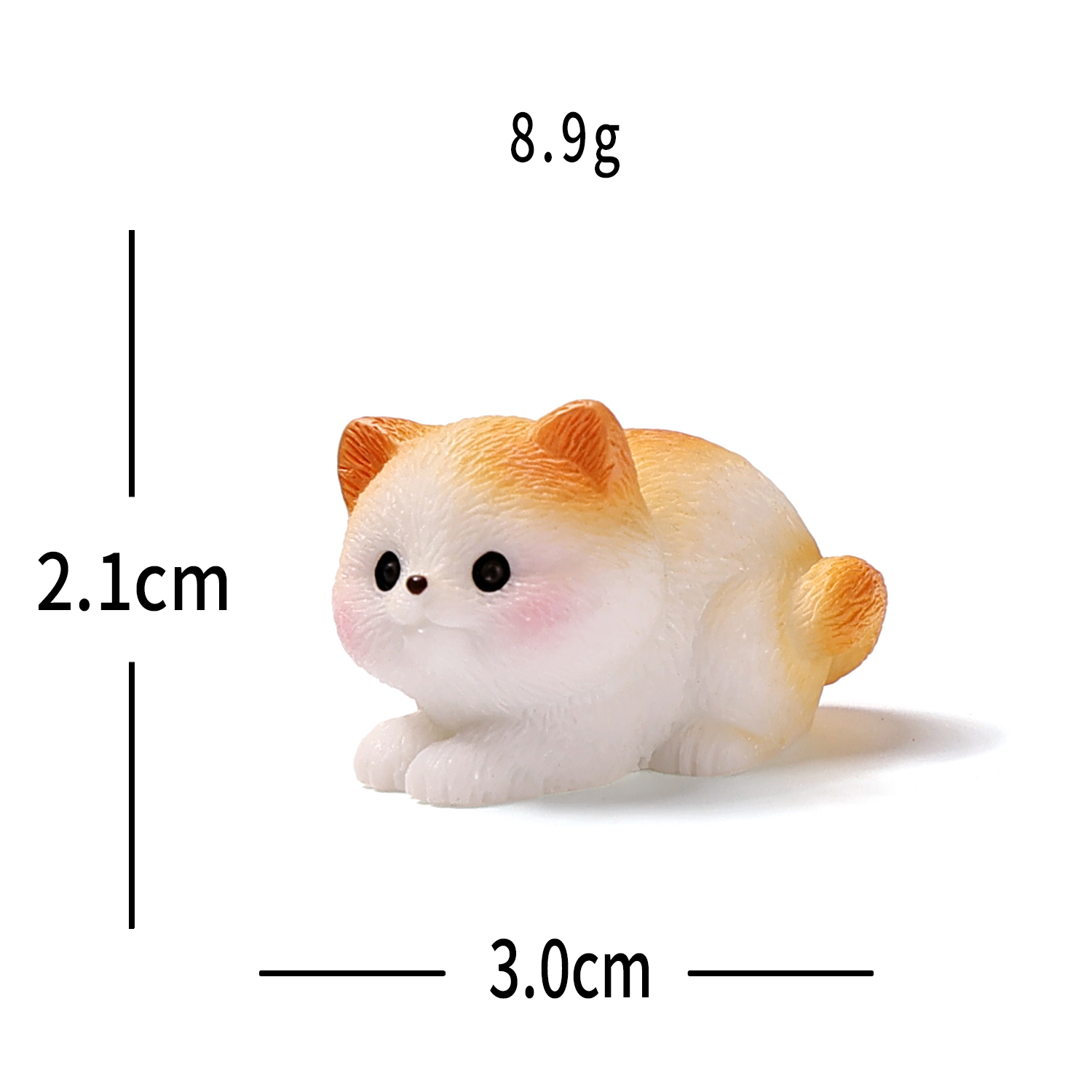 สังเกตแมว