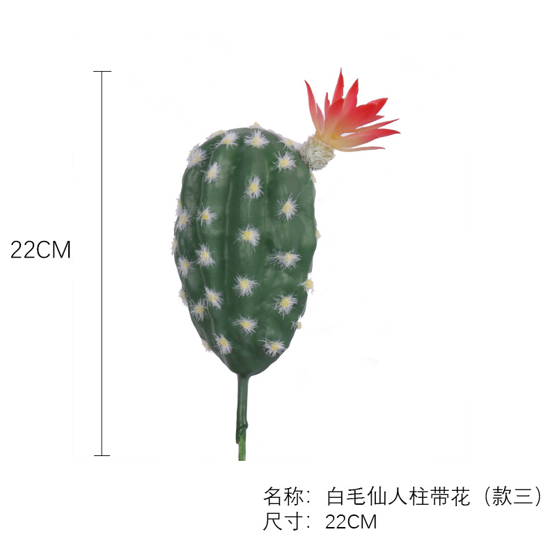 Référence : SKU-04
