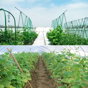 59&quot;x328' Green Colour Polypropylene Plastic Mesh <strong>Netting</strong> Plant <strong>Support</strong> <strong>Trellis</strong> Net for Vine Climbing Plants - Product Image 6
