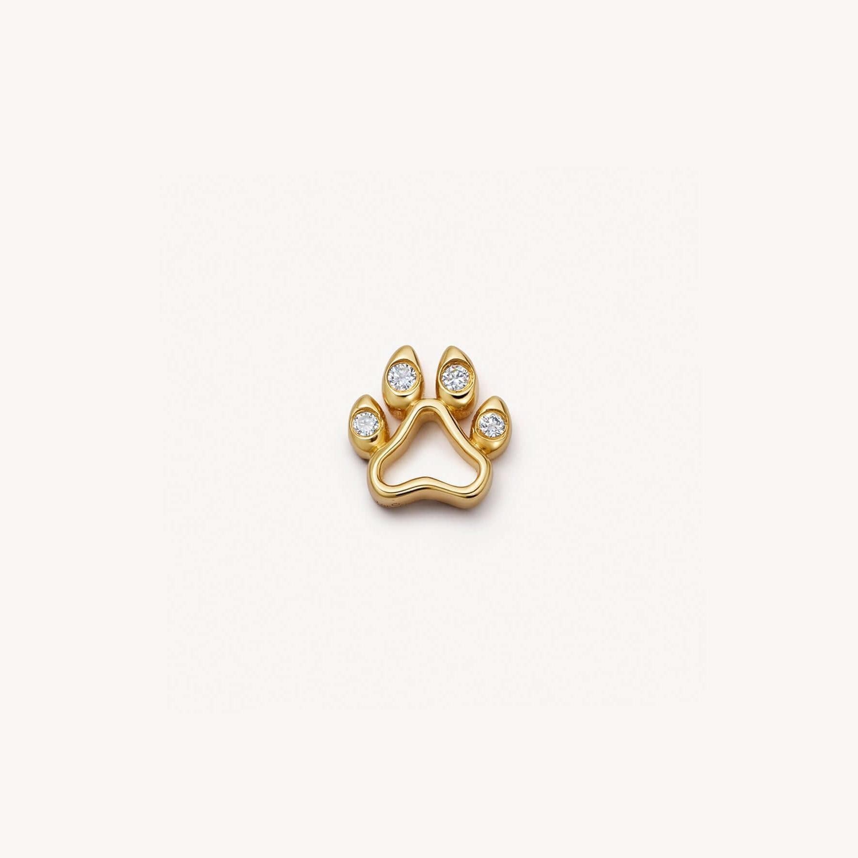 Accessoires pour pattes de chien