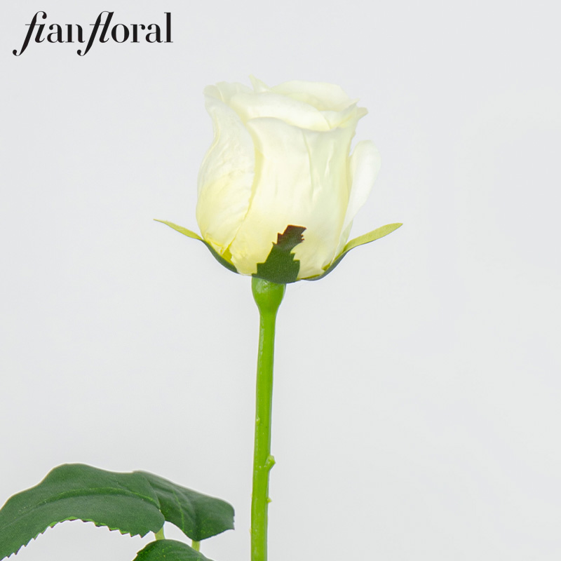 Crème 10.CR0055