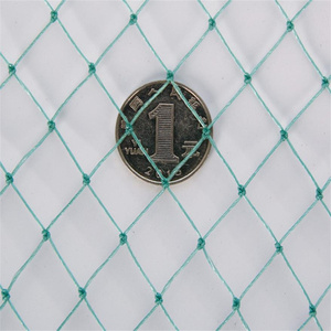 Reticolato verde Anti uccello per alberi da frutto reticolato in plastica PE per scoiattoli UV uccello reticolato - Product Image 1