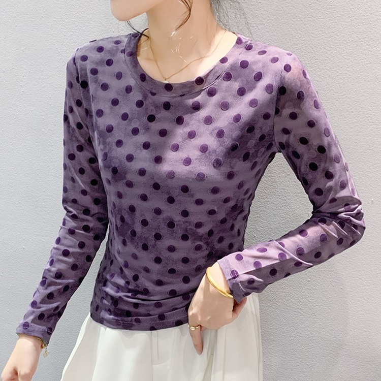 Viola