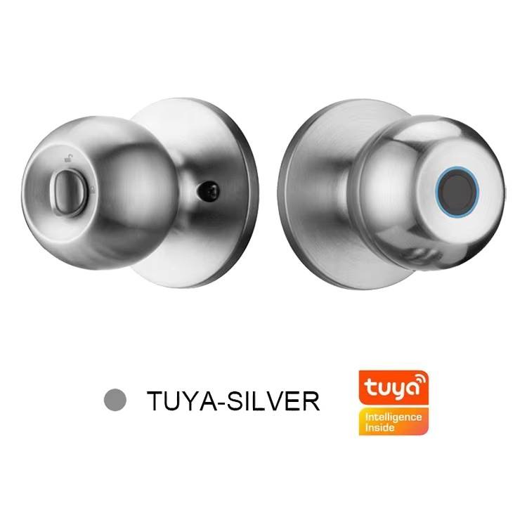 Tuya silvery