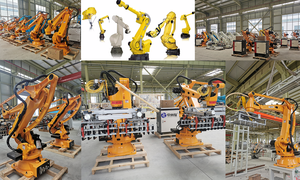 Sistema paletizador automático Robot paletizadora Máquina estampadora Robot industrial y de manipulación para embalaje - Product Image 2