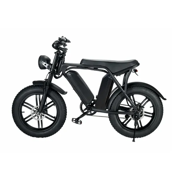 US EU Stock Dutch enduro ebike urbano chopper bicicleta 750W 1000W 15Ah 30Ah 20*4.0 "pneu gordo bicicleta elétrica híbrida