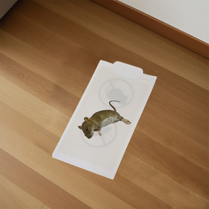 動物のデザインで動物に効果的なマウス接着剤トラップ子供/ペット安全使い捨てキラーペストコントロール - Product Image 1