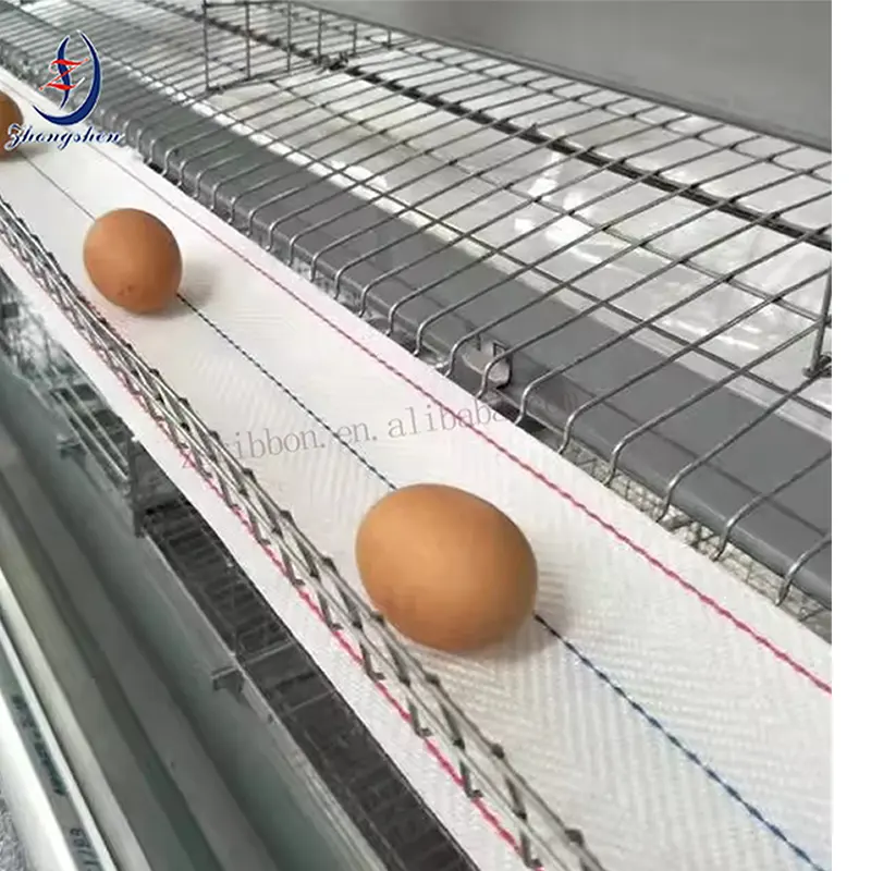 Cinta transportadora de huevos anti-UV y Antienvejecimiento para sistema de recolección de huevos de granja avícola