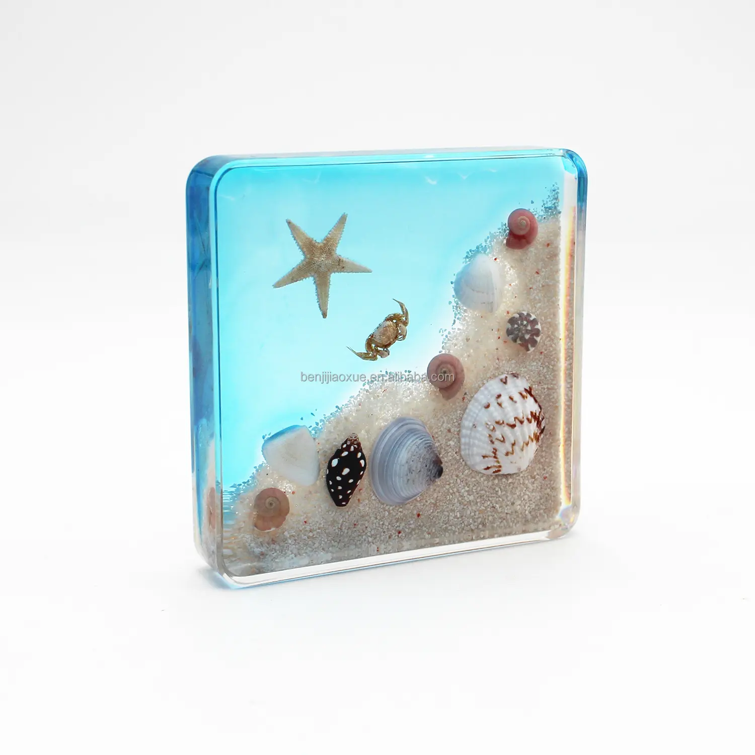 Promotion gift sea animal life resin crafts sand beach crab specimen scenery desk shells decoration