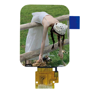 1.69インチ液晶ディスプレイ240X280 TFT LCDディスプレイSPIタッチスクリーンなしまたはタッチスクリーン付き1.69インチips液晶スクリーンモジュールst7789スマートウォッチ - Product Image 3
