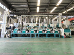 Bir kayıpta 100t/d ticari mısır grit yapma makinesi mısır unu freze makinesi mısır freze tesisi düşük maliyetli - Product Image 5