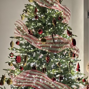 Cross-Biên Giới Màu Xanh Lá Cây Dòng LED Dây Đồng Giáng Sinh Cây Chuỗi Điều Khiển Từ Xa Pháo Cho Ngoài Trời Hoa Màu Xanh Lá Cây Cây Nho - Product Image 5