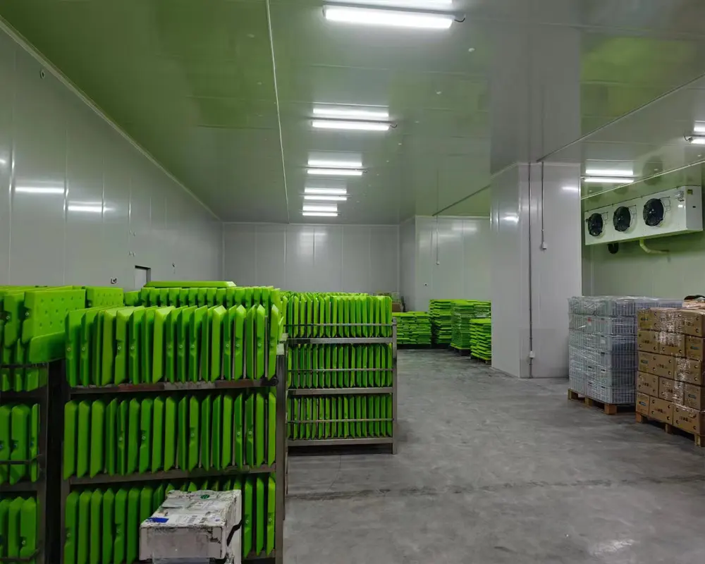 Penyimpanan dingin pemasok Tiongkok Walk in Cooler Blast Chiller Freezer penyimpanan ruang dingin untuk makanan laut ikan