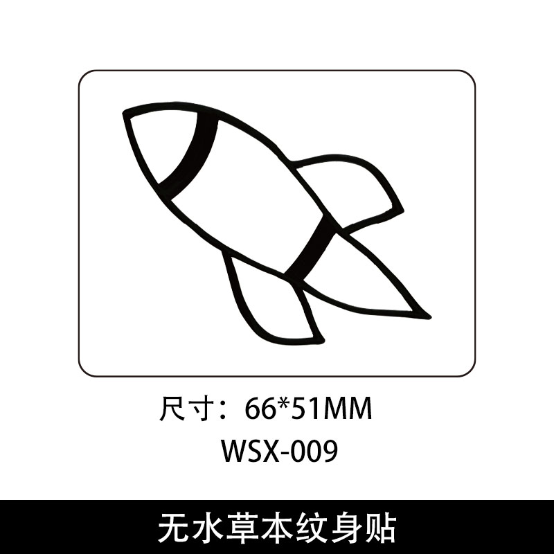 WS-009