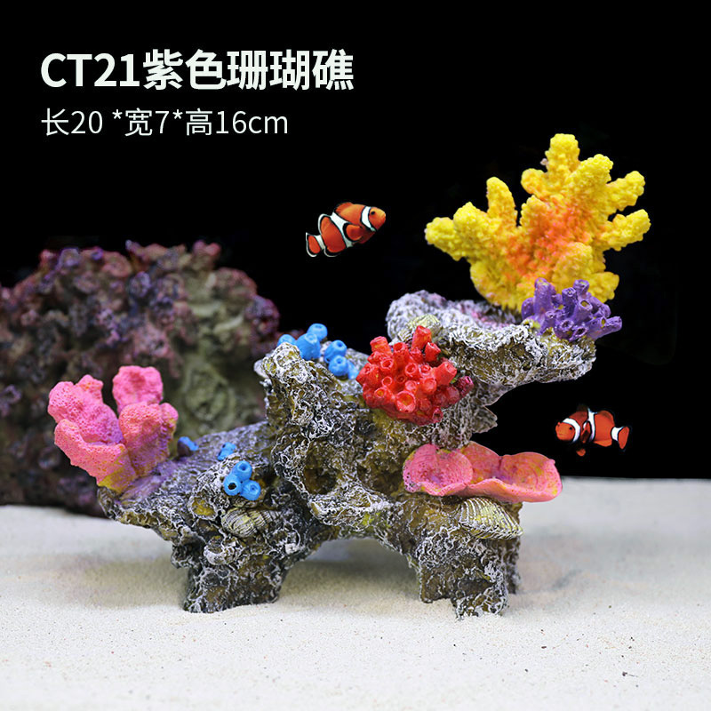 Purple coral reef