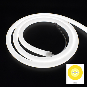 IP67 SMD2835 LED แบบนีออนกันน้ำได้20พิกเซล RGB LED 240ดวงความกว้าง8มม. DC12/24V 48W ได้รับการรับรองจาก ROHS