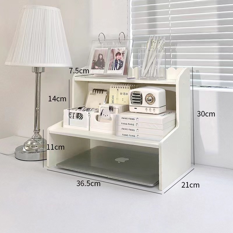 Economy Medium
