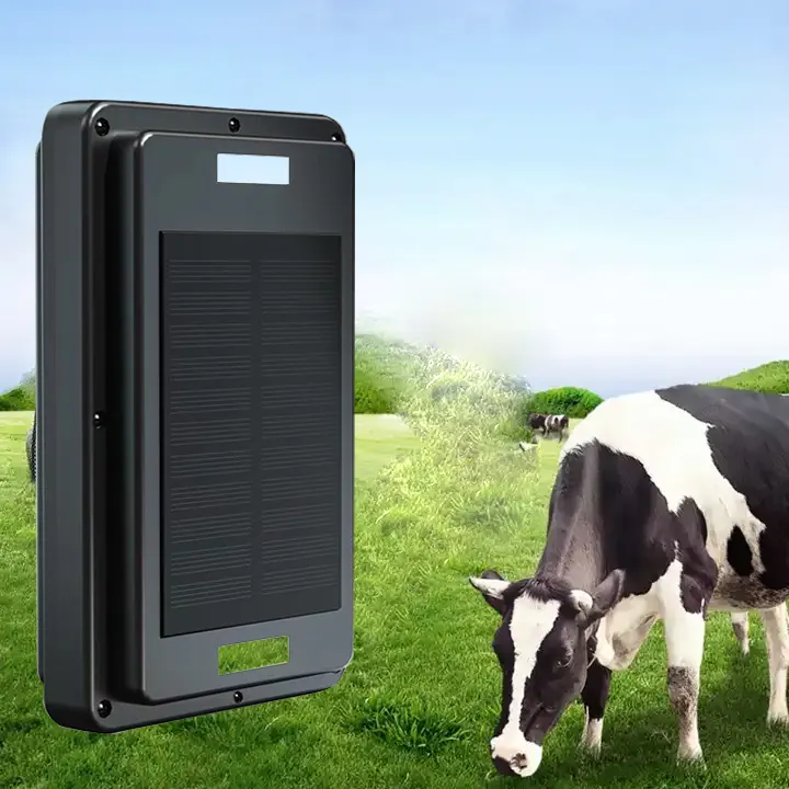 4 जी गाय जीपीएस ट्रैकर वास्तविक समय ट्रैकिंग भू-बाड़ कॉलर कट अलर्ट सौर ऊर्जा संचालित गाय ट्रैकिंग उपकरण बड़े पशु कुत्ते मवेशी कारखाने