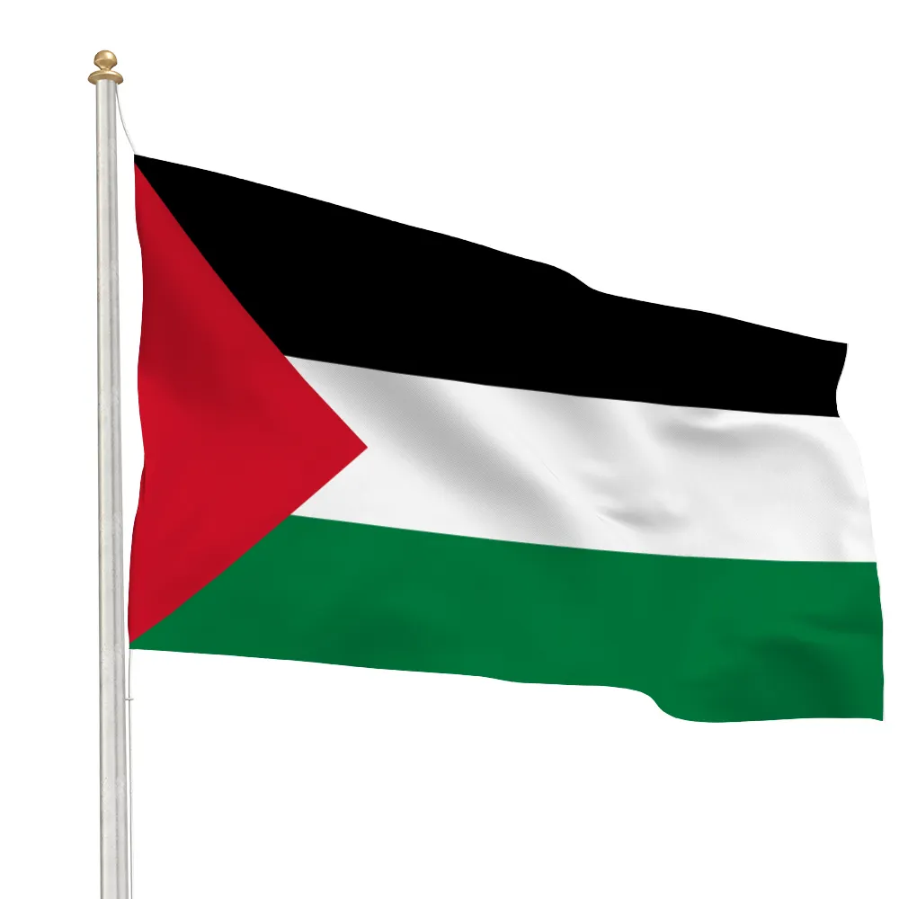 Fábrica fornecimento personalizado palestina bandeira capa
