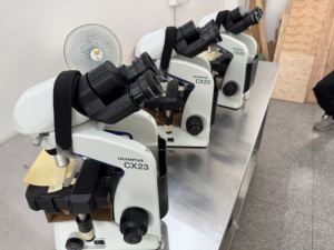 奥林巴斯CX23三目双目生物显微镜与LED光源 - Product Image 6