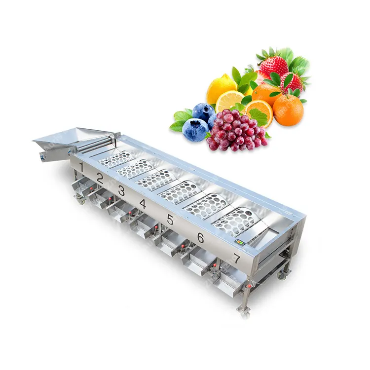 2-8 grader citrus fruit sorting machine