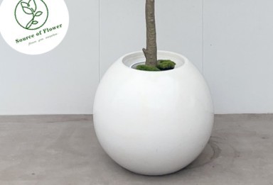 pot de 60 cm