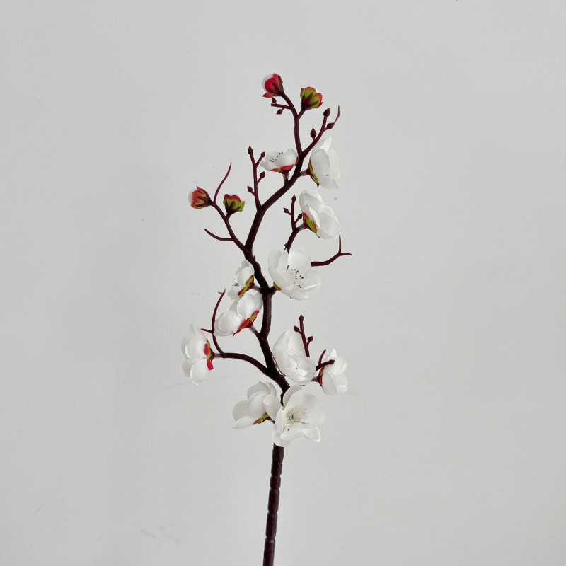 Fleurs de prunier blanches sur la branche du milieu