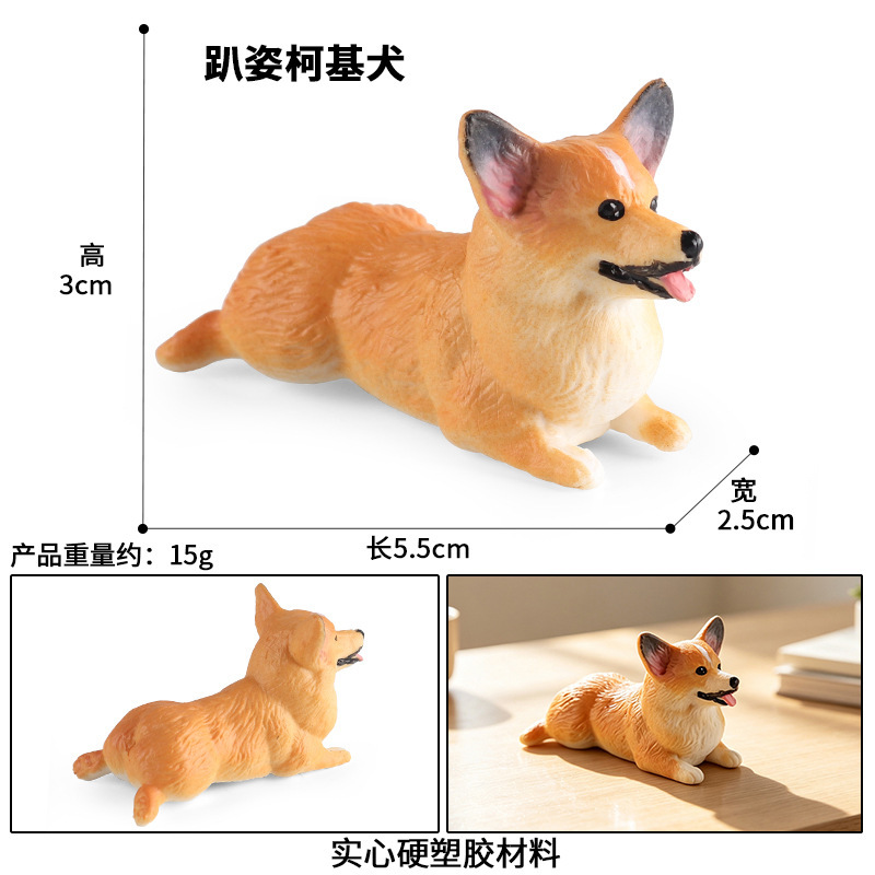 Corgi couché coloré 3592