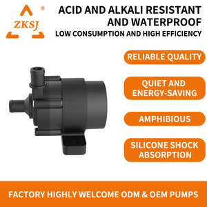 Giá Nhỏ Trang Trại Ao Không Gỉ Chuyển Booster Thủy Lợi Nhiên Liệu Tự Prim Hệ Thống Điện Từ Năng Lượng Mặt Trời DC Máy Bơm Nước - Product Image 3