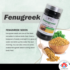 Suplemen Herbal kapsul ekstrak Premium 500mg <span class=keywords><strong>Fenugreek</strong></span> untuk dukungan kesehatan pencernaan aman untuk Dewasa bukan remaja hamil - Product Image 2