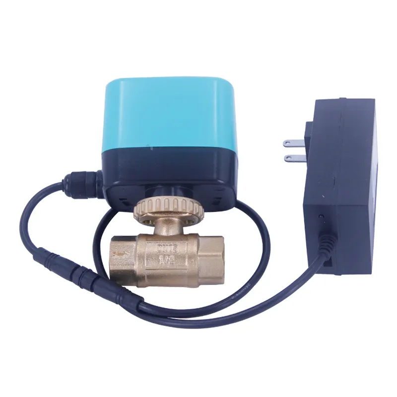 Tuya APP Control Smart Electric WIFI Zoll Edelstahl Smart Wireless elektrisches Wasserball ventil zur Bewässerung