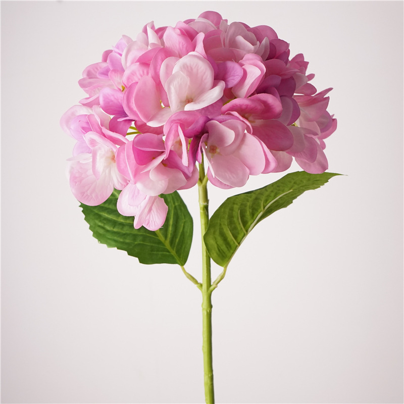 Handfeel moisturizing hydrangea-deep pink