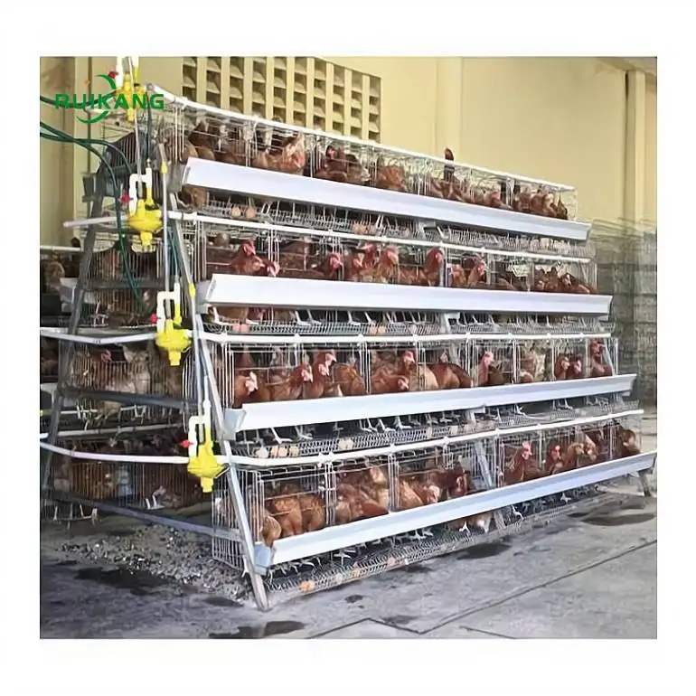 Battery chicken cage egg layer chicken cage poultry farm A type cage for sale