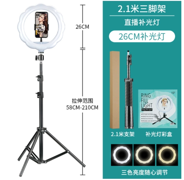 Luci di riempimento a fiore da 10 pollici + set di 2.1m