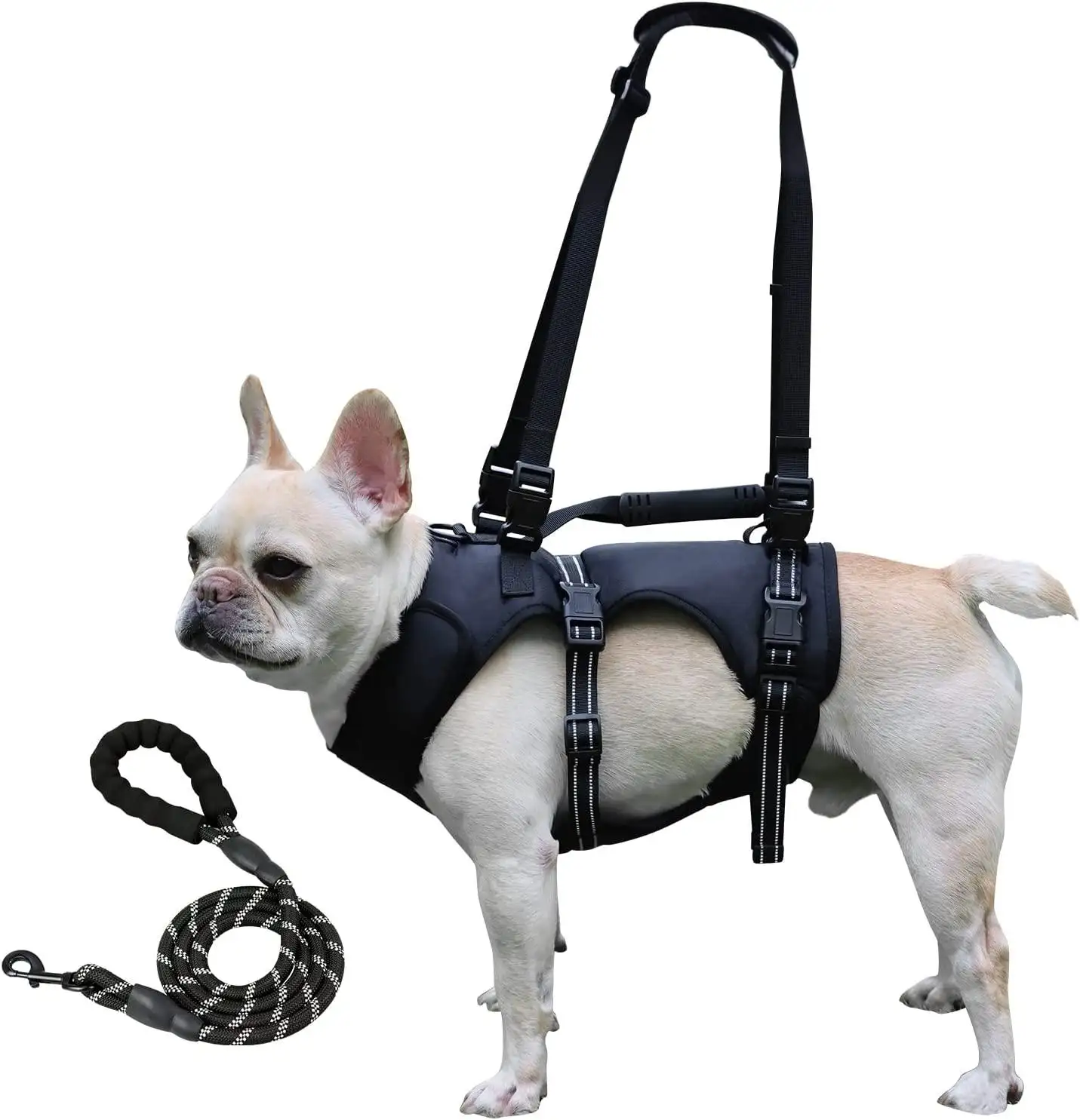 Pettorina per cani, sollevatori per la riabilitazione degli animali domestici gilet cinghie traspiranti regolabili, cani per la paralisi a piedi