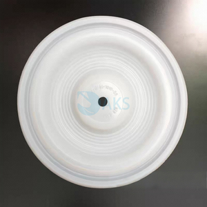 高品质聚四氟乙烯隔膜01-1010-55气动动力源0.5 “用于净水的隔膜泵2” 用于Wilden的出口 - Product Image 2