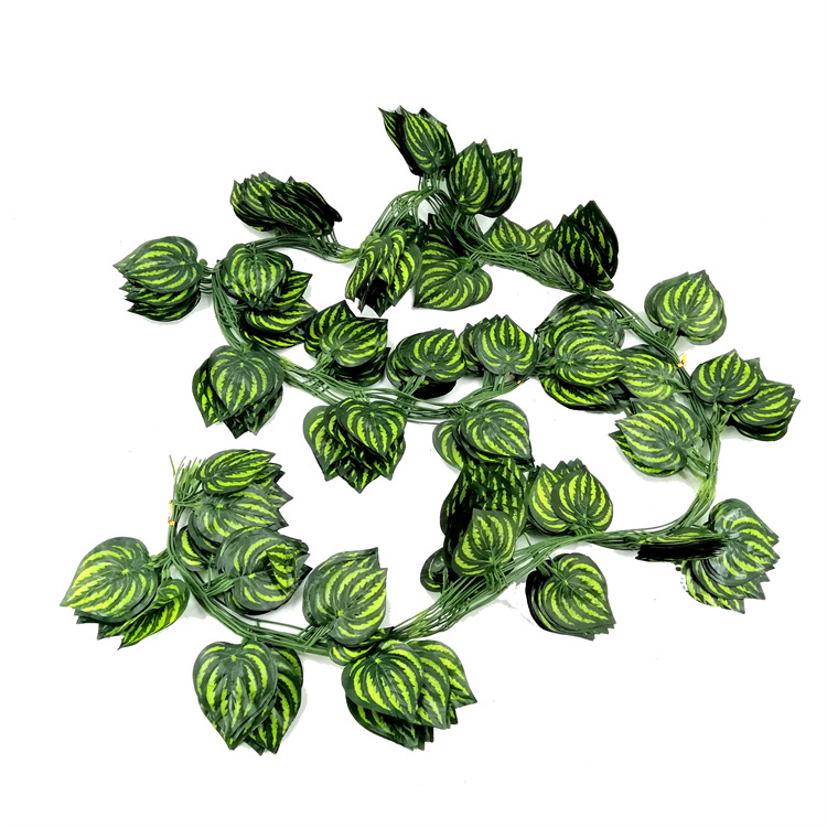 LV11 verde