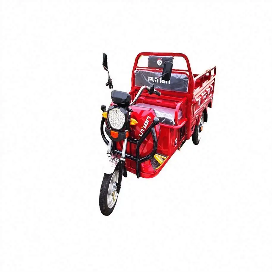 Business Use 200KG Motor Tricycle E Loader For Men Use