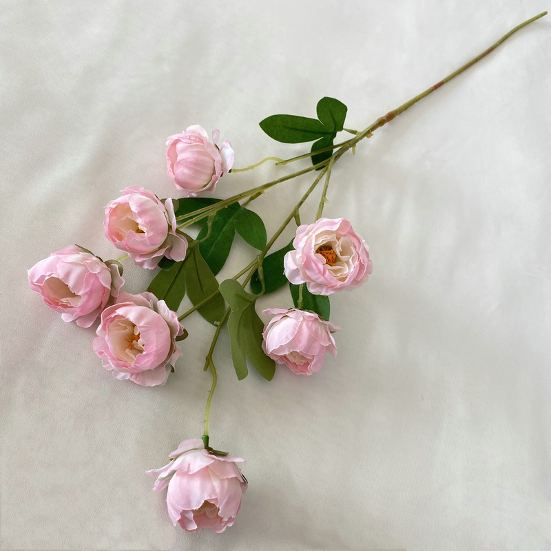 8# Rosa, 7 peonías linglong