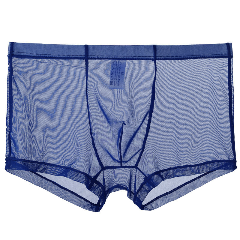 Blue Thin Sheer Mesh Boxer Brief