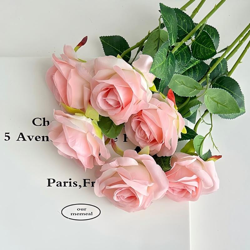 สีชมพู