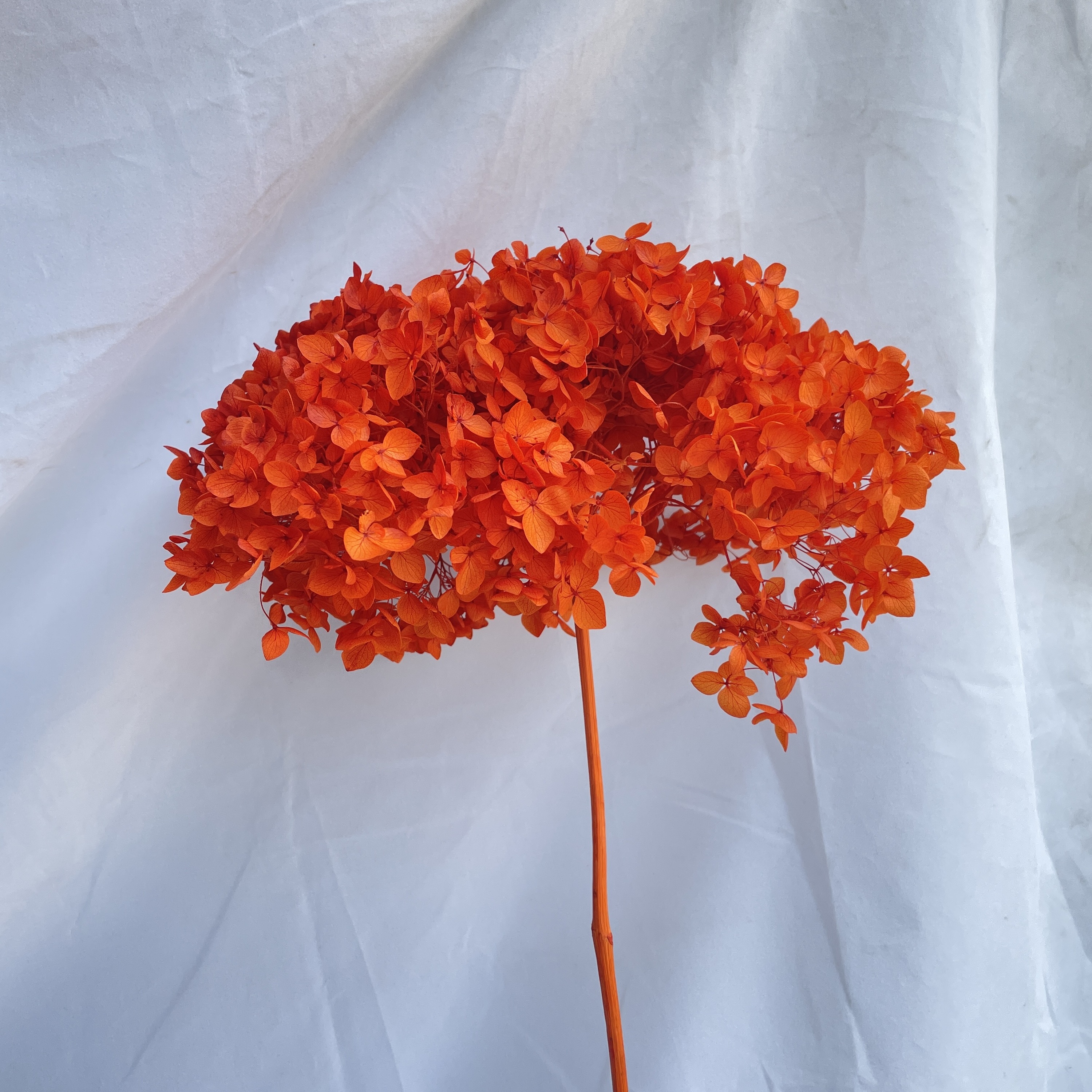 Rosso arancio