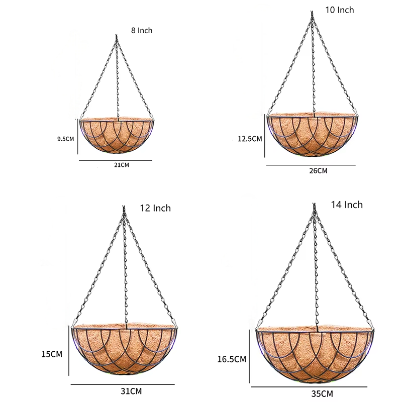 8 pouces
