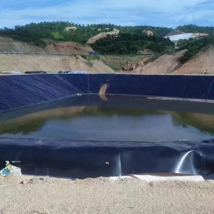 Hdpe geomembrane 사용 연못 라이너 2mm 물고기 농장 연못 라이너