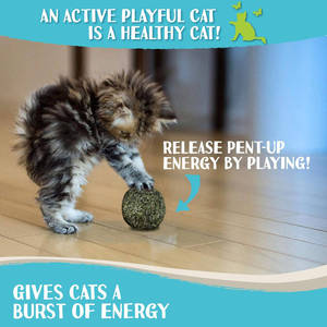 Raw Paws Catnip Balls Interactive Cat Toy for Indoor Kitten Toys Cat <strong>Nip</strong> Lick Ball <strong>Nip</strong> Natural Catnip Ball for Cats All Breeds - Product Image 3