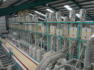 Yeni dikey çift demir rulo pirinç su parlatıcı makinesi Mpgl16 ipeksi parlatıcı endonezya pirinç fabrikası için pirinç fabrikası - Product Image 6